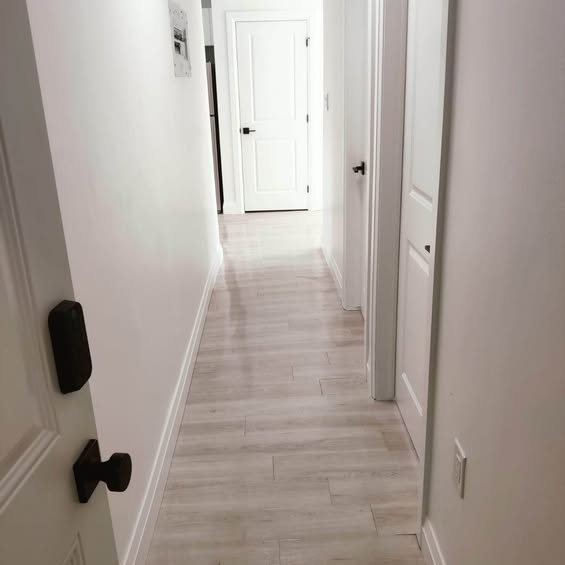 833 Albert Road - 3